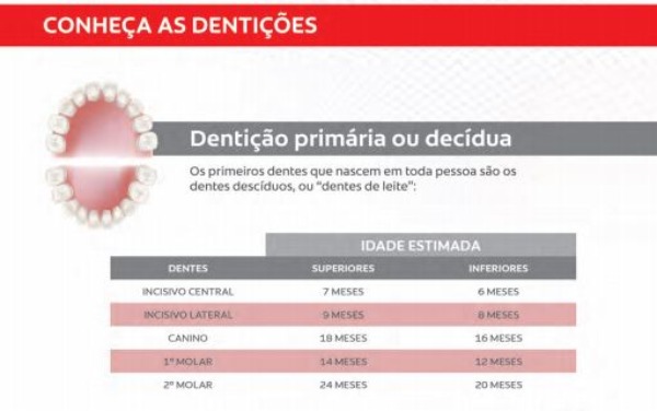 dentição decídua
