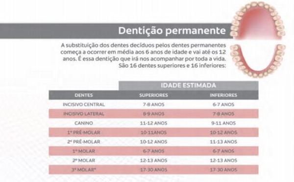 dentição permanente